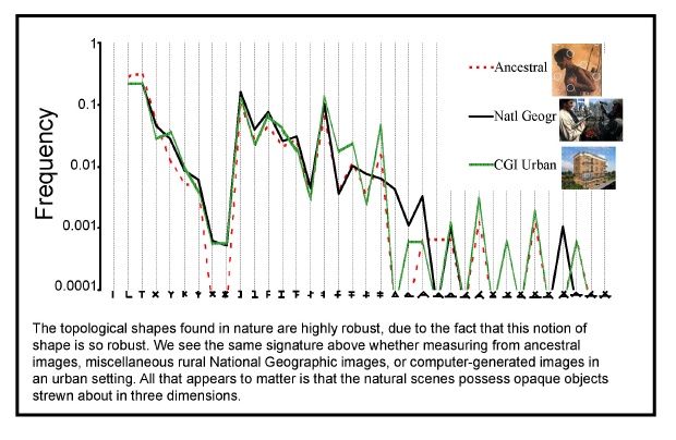 topological shapes in nature topography Of Language figure 8